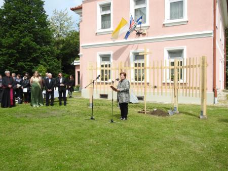 Slavnostno zasadili cepljenko najstarejše vinske trte na svetu 11
